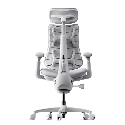 Omni Dynamic Desk Chair